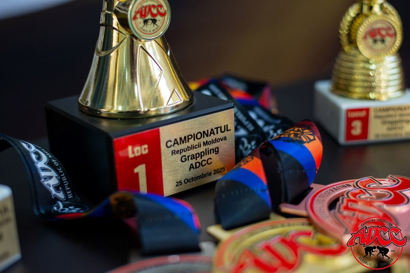 ADCC MOLDOVA CAMPIONATUL REPUBLICII MOLDOVA 2025 - REZULTATE